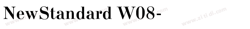 NewStandard W08字体转换